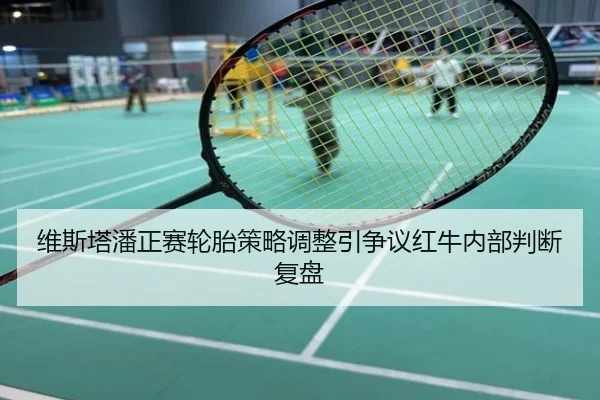 维斯塔潘正赛轮胎策略调整引争议红牛内部判断复盘